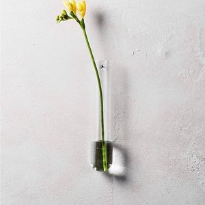 CB2 Beaker Wall Vase